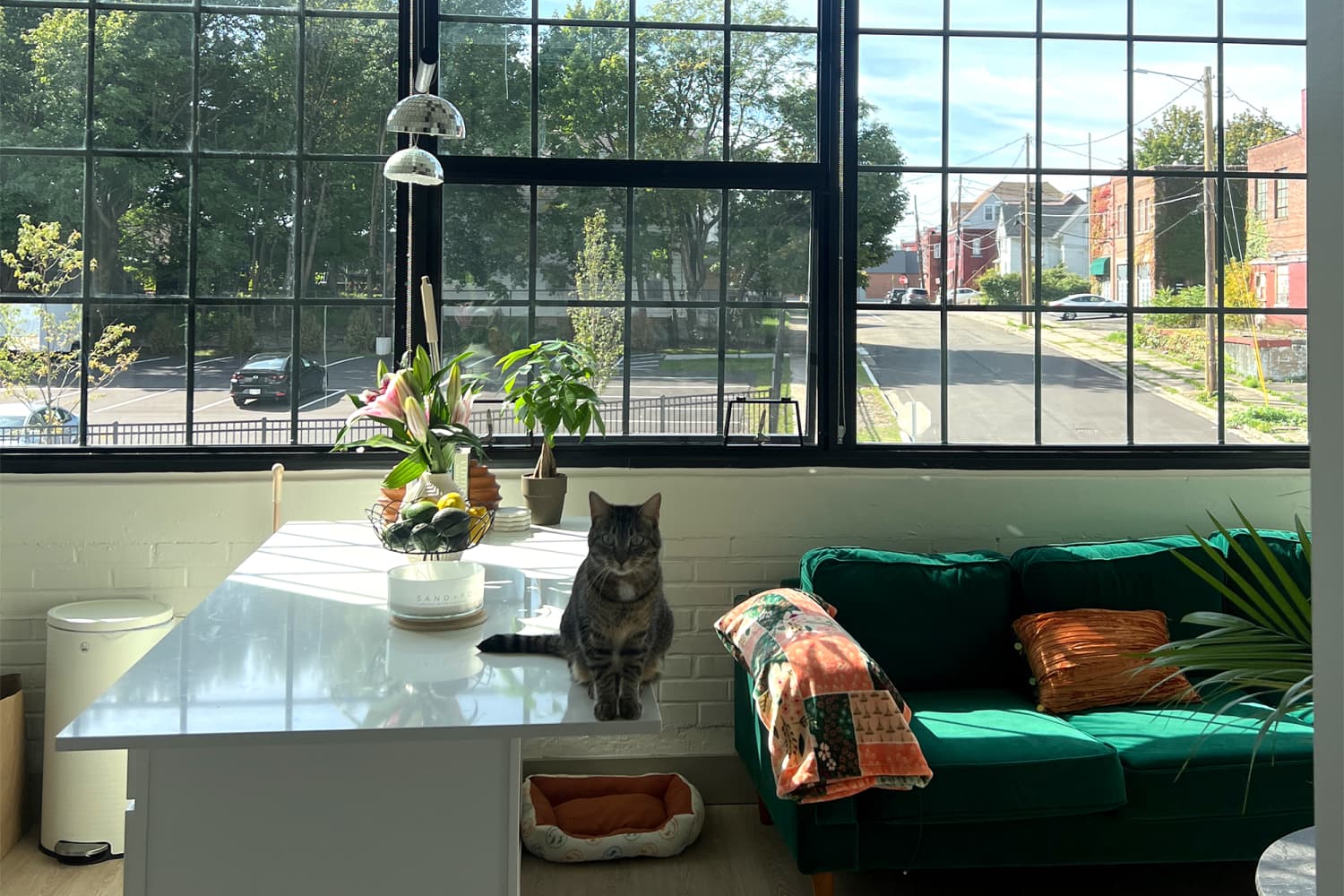 Image showcasing See How a Renter Warmly Decorated This Industrial Loft | Apartment Therapy
